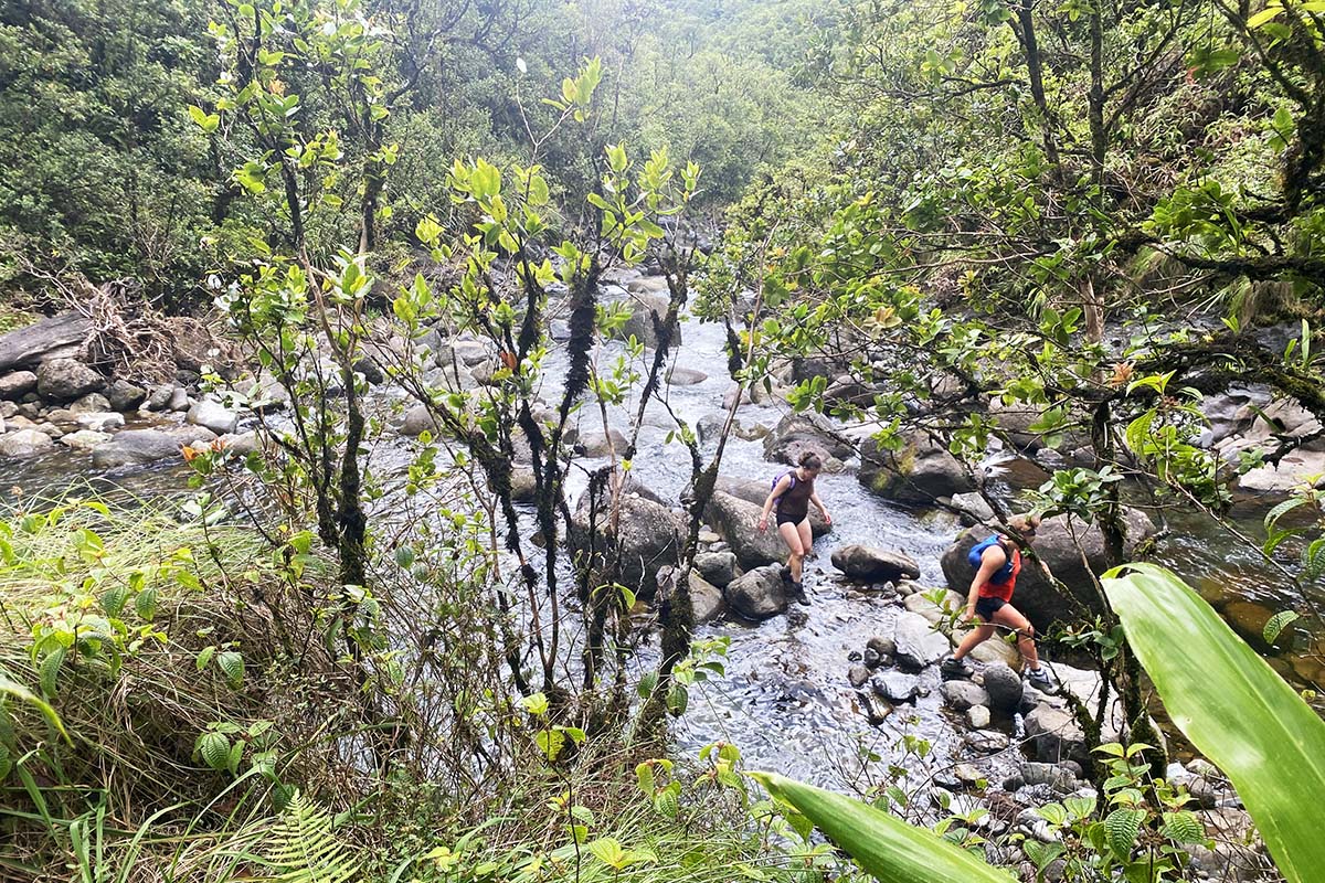 Women's hiking shoes (hiking up river in Hawaii)