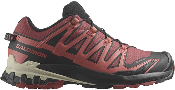 Salomon XA Pro 3D V9 GTX hiking shoe_