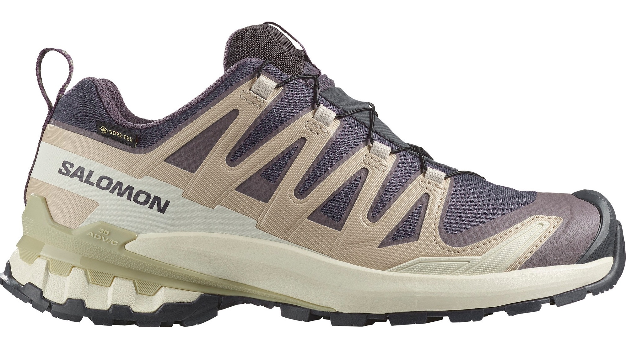 Salomon XA Pro 3D V9 GTX