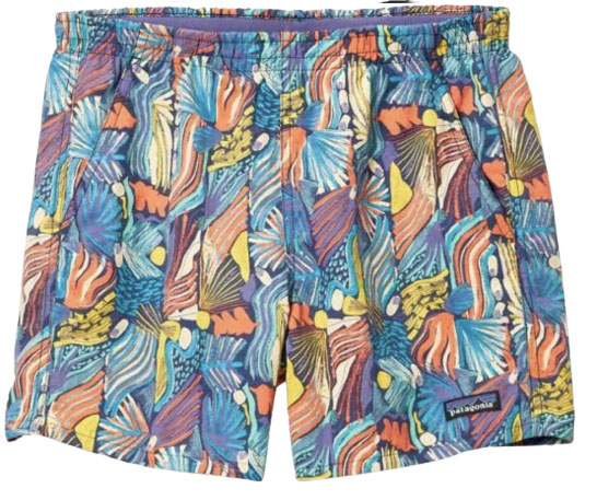 Patagonia Baggies Shorts (women's hiking shorts)