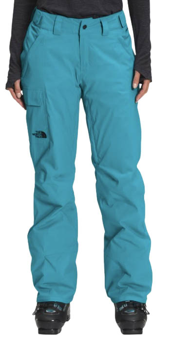 navy blue north face ski pants