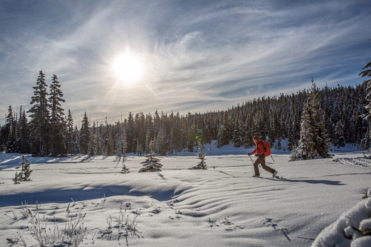 A woman skiing across a snowy forest landscape in a synthetic jacket