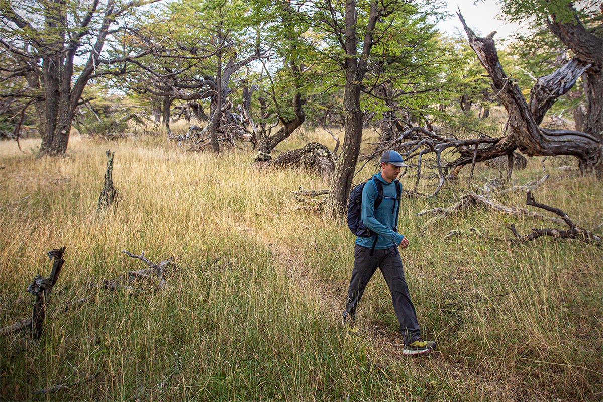 Adidas Terrex Free Hiker 2 Review: The Hiking Boot Game-Changer You Need  NOW! - ShoesGuidance