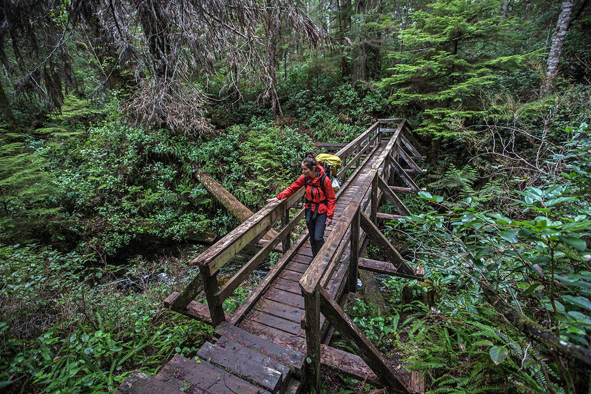 Arc'teryx Alpha SL Anorak (crossing bridge in forest)