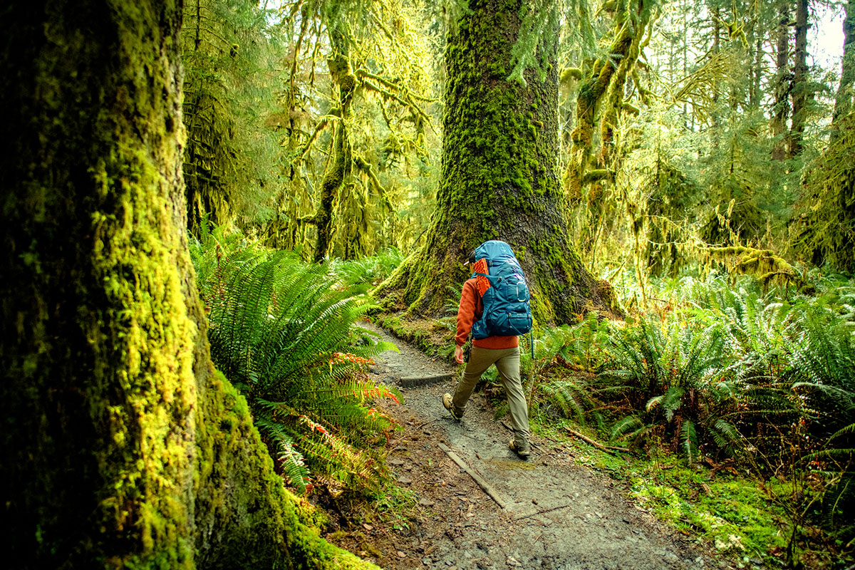 Arc'teryx Covert Cardigan (hiking with full pack)