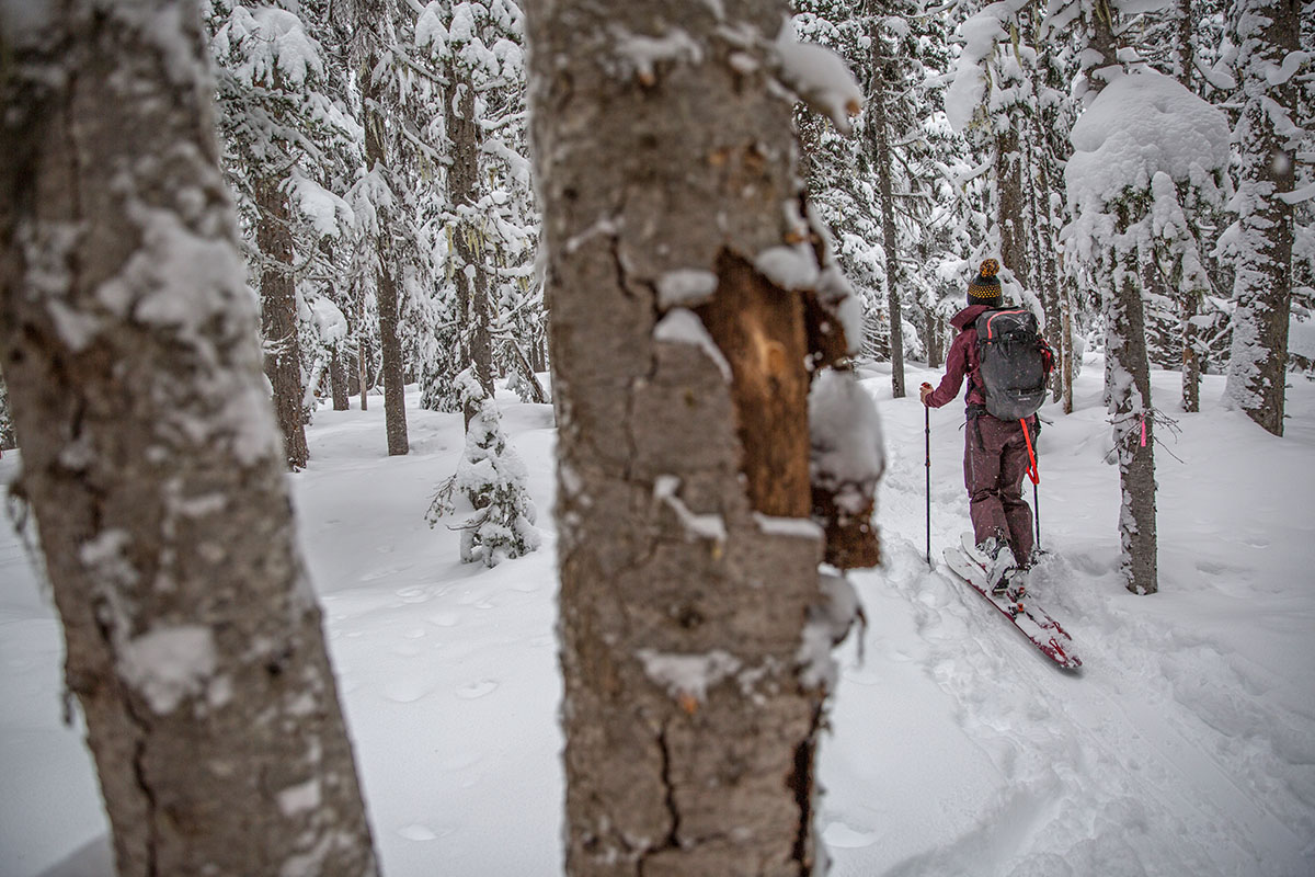 Arc'teryx Gamma MX Hoody (skinning in snowy forest)