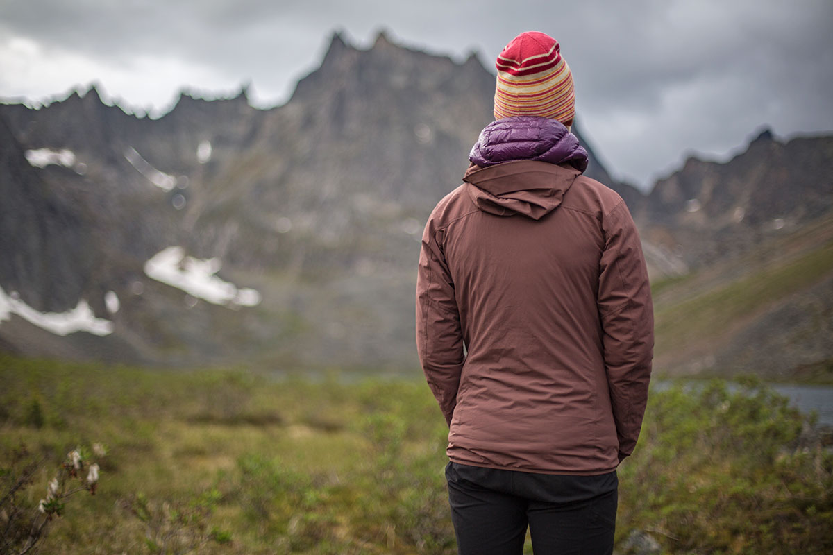 Arc'teryx Gamma SL Hoody (back of jacket)