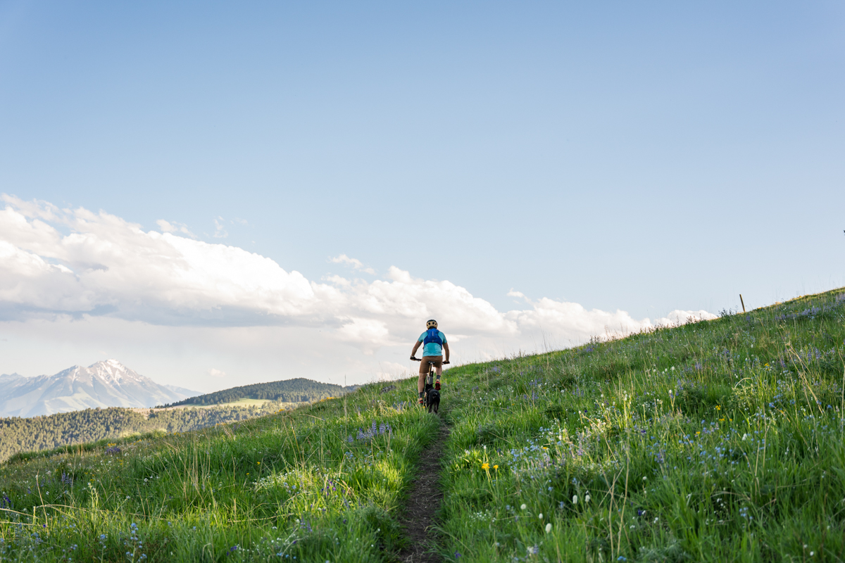 A man riding a mountain bike in the distance in a meadow on a sunny day