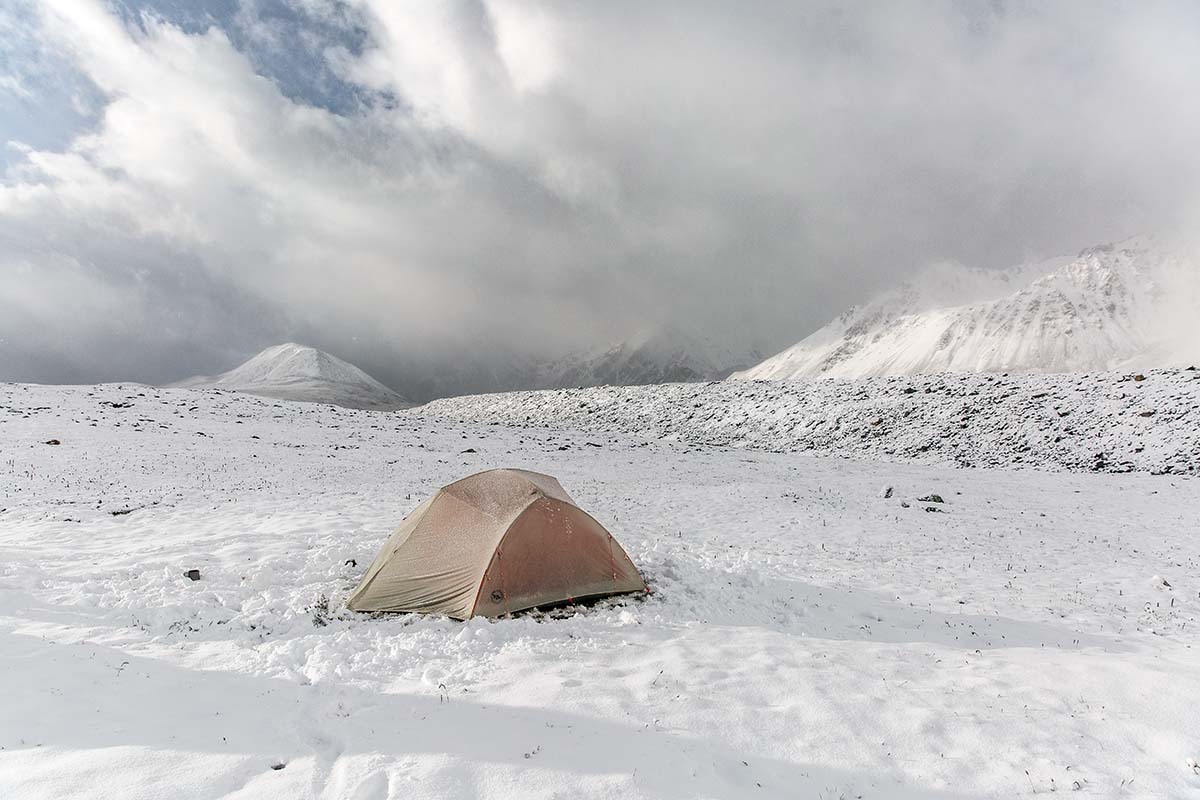 BA Copper Spur Platinum (snow)