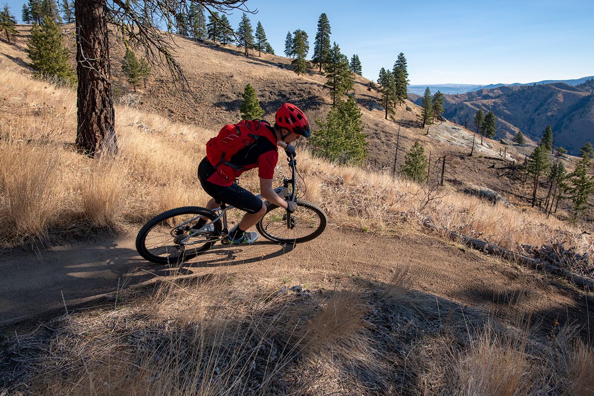 cannondale trail 6 rei
