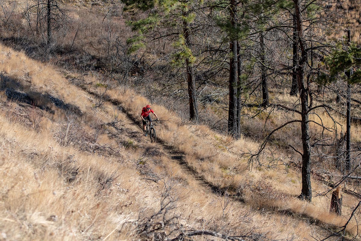 Cannondale Trail 6 (downhill)