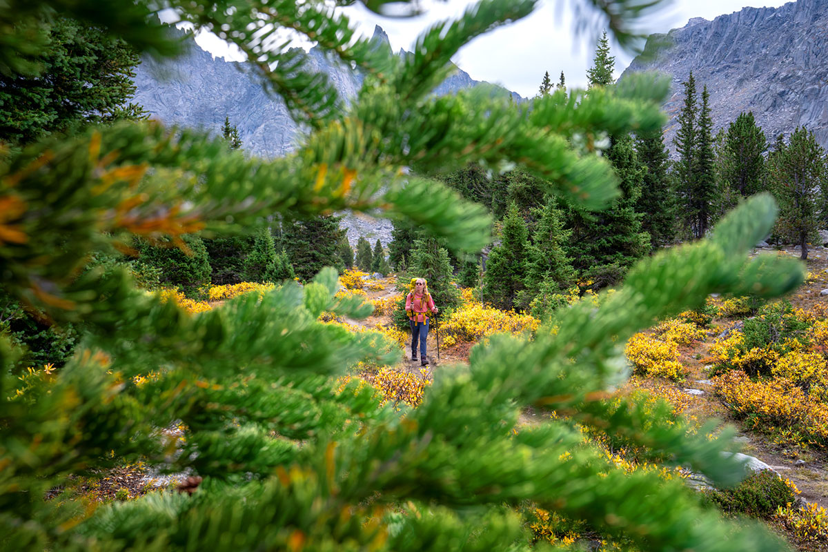 ​​Free Fly Bamboo Lightweight Hoodie II (wide shot backpacking)