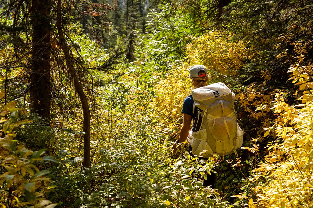 Granite Gear Crown3 backpacking pack (walking into brush)