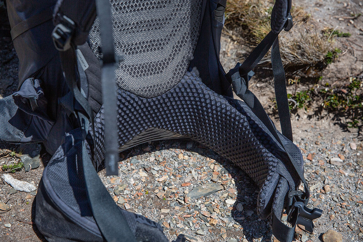 Gregory Baltoro 75 backpack (backpanel closeup)