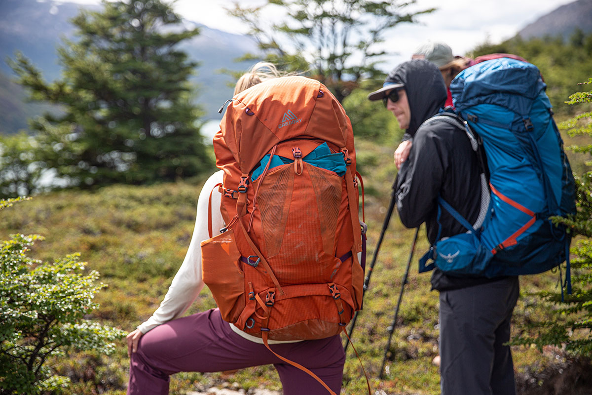 Gregory Jade 63 backpacking pack (closeup from back)