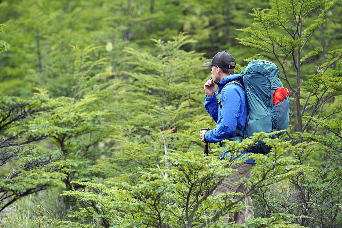 Gregory Paragon 58 backpacking pack (side profile in bushes)