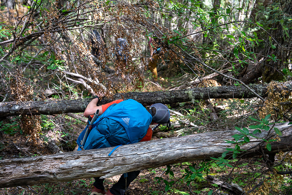 Gregory Stout 70 backpack (squeezing through deadfall)