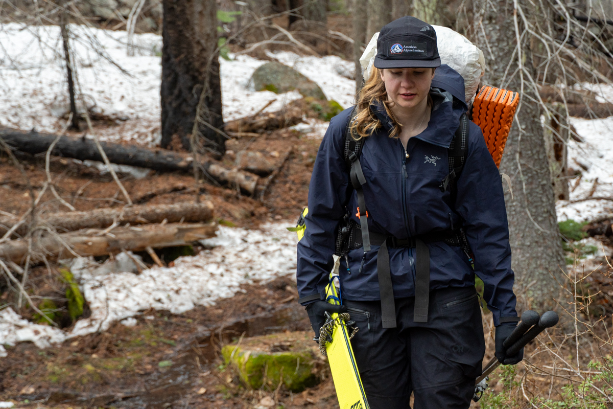 A woman carrying skis and hiking through snowy forest while wearing white ski backpack