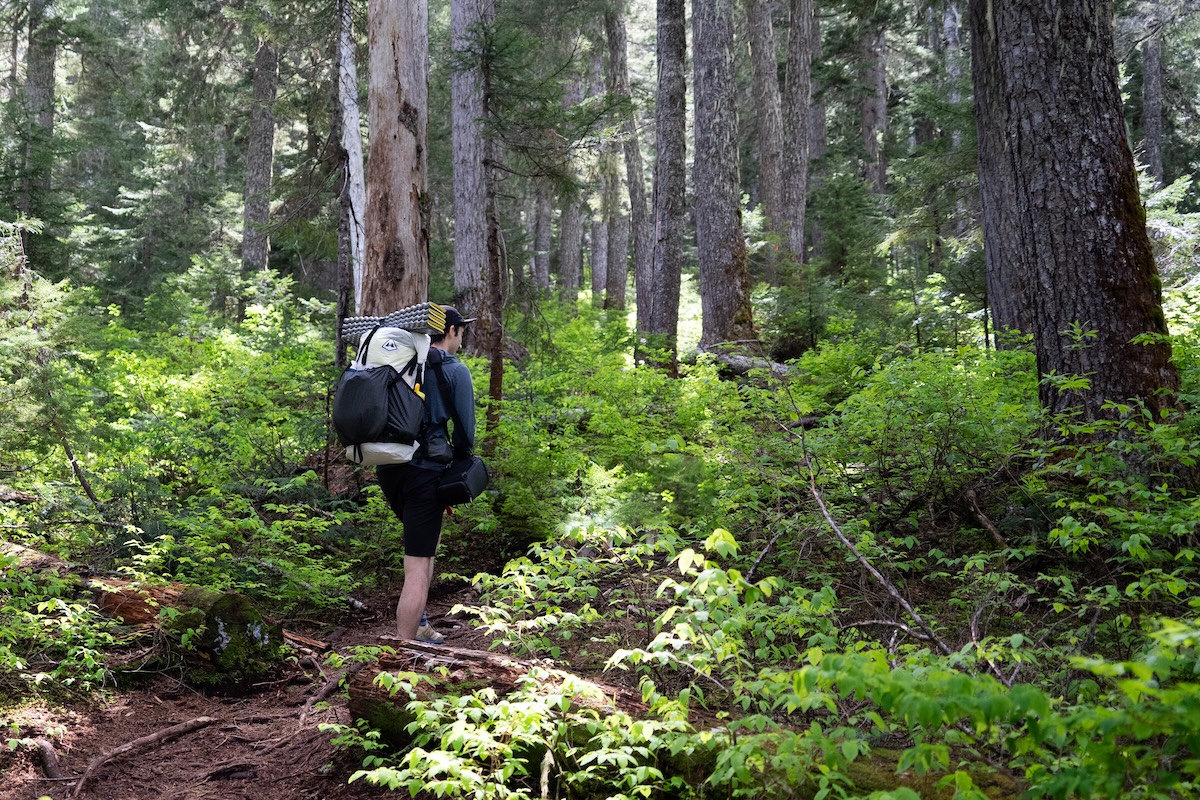Backpacking in the woods with the Southwest 55