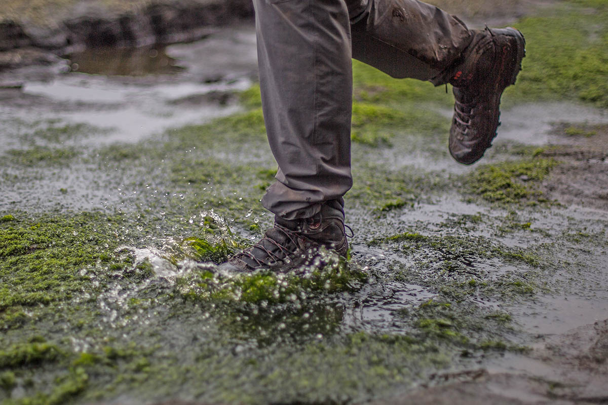 La Sportiva TXS GTX hiking boot (splashing through mossy puddle)