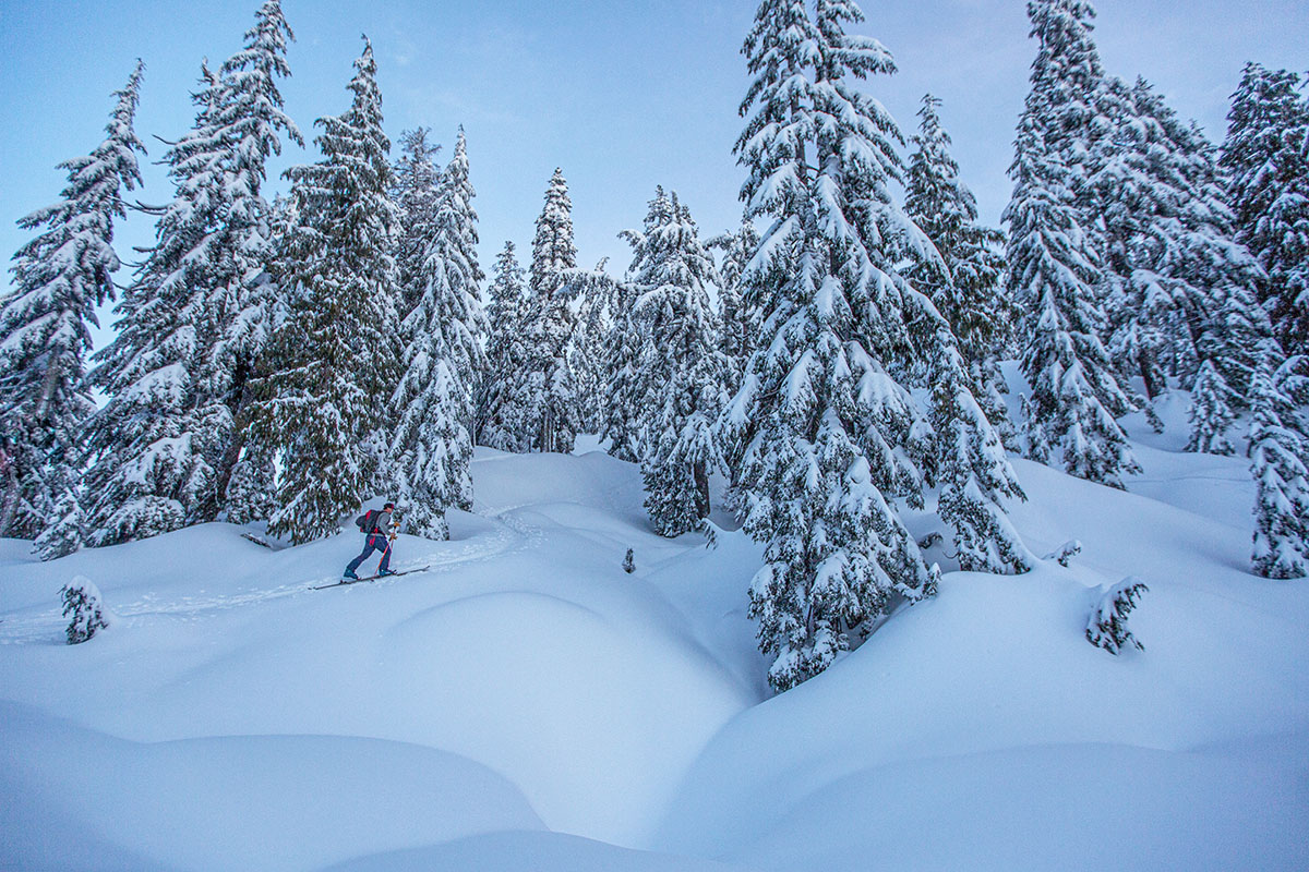 Lange XT3 ski boot (touring in snowy forest)