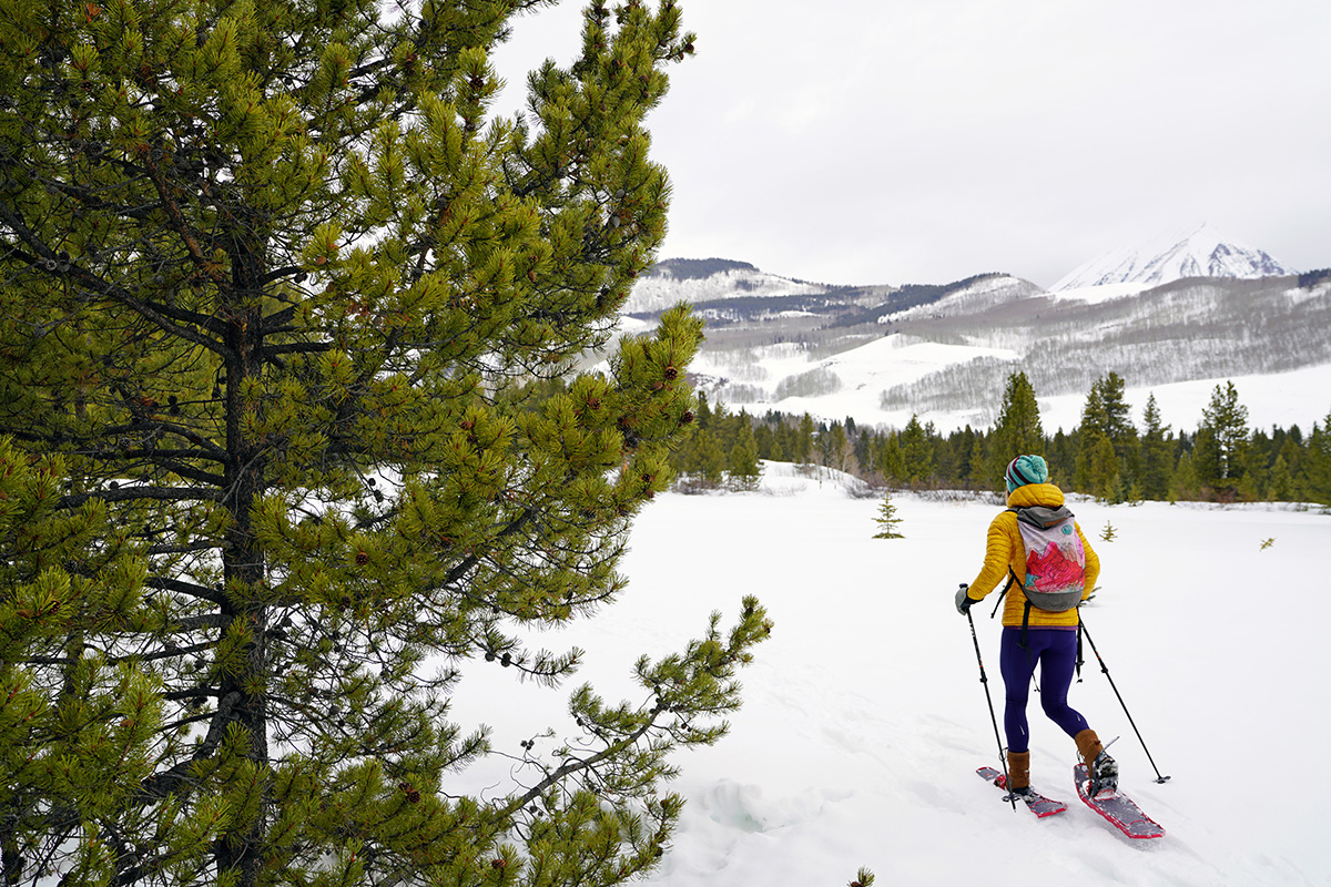 MSR Lightning Ascent Snowshoes (hiking beside trees)