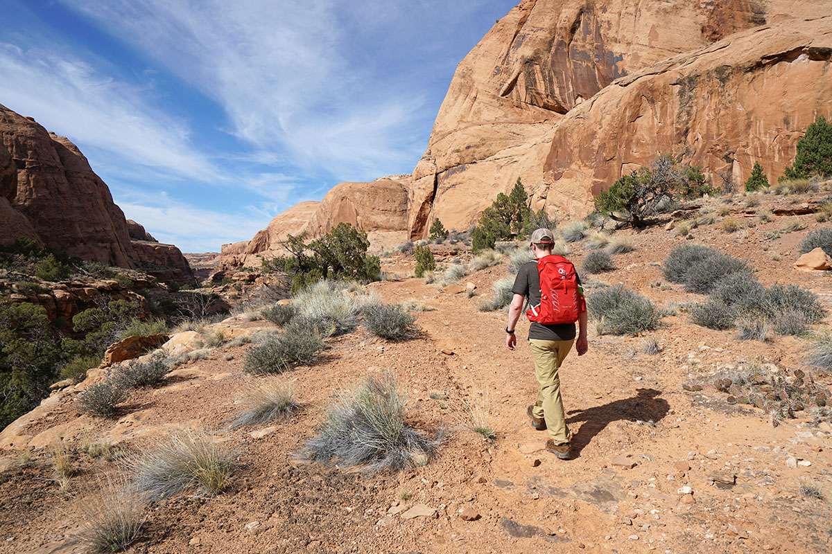 Merrell Moab 2 (Canyon hike)