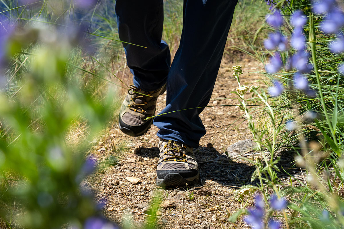 Merrell Moab 3 hiking shoe (on trail)