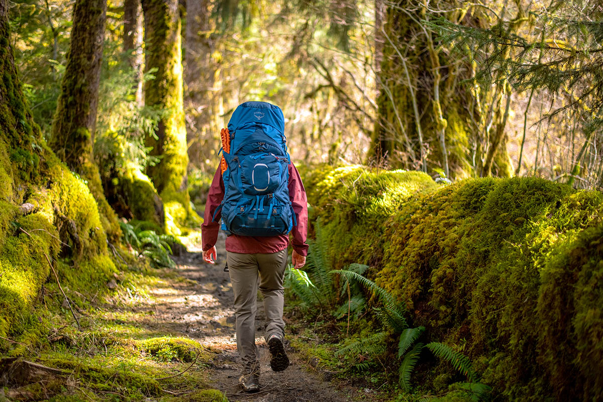 Osprey Aether 65 backpacking backpack (hiking alongside moss-covered log)