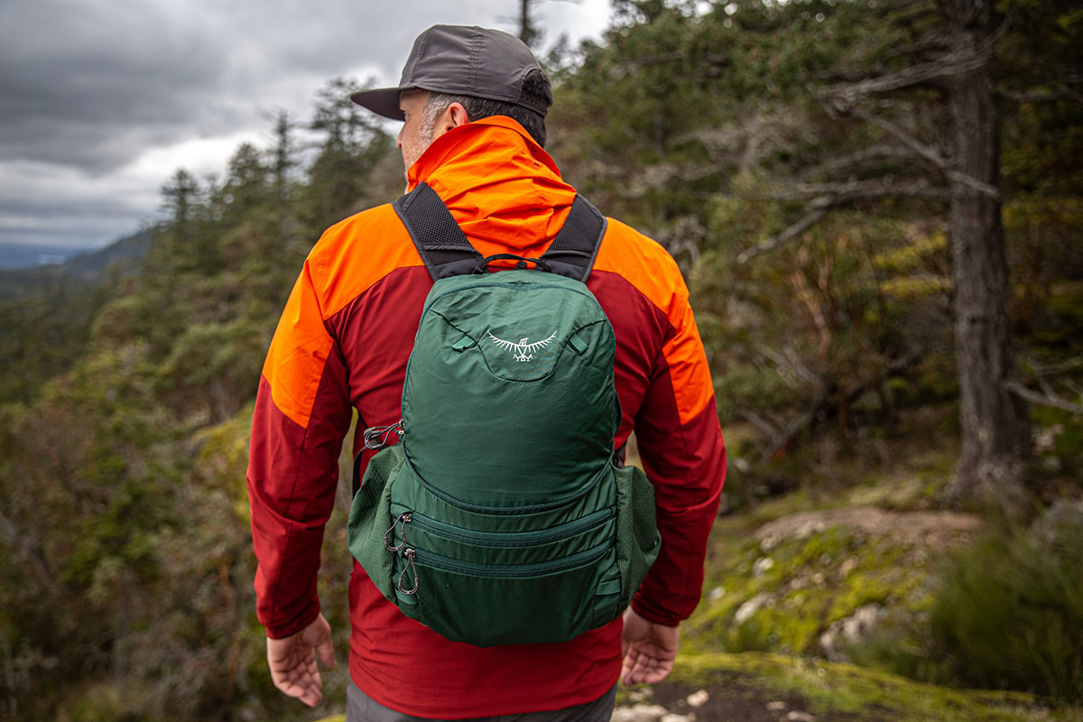Osprey Aether Plus 70 backpacking pack (DayLid daypack)