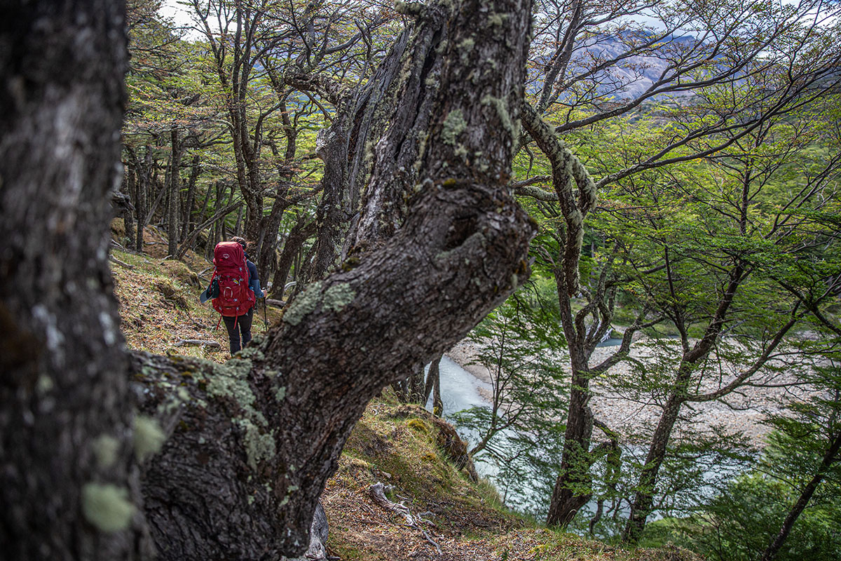 Osprey Ariel 65 backpacking pack (looking through trees)