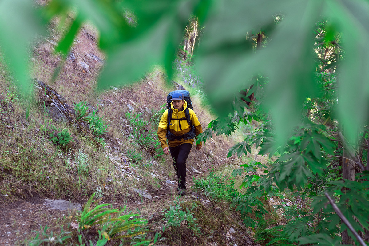 ​​Osprey Atmos AG 65 backpacking pack (through trees)