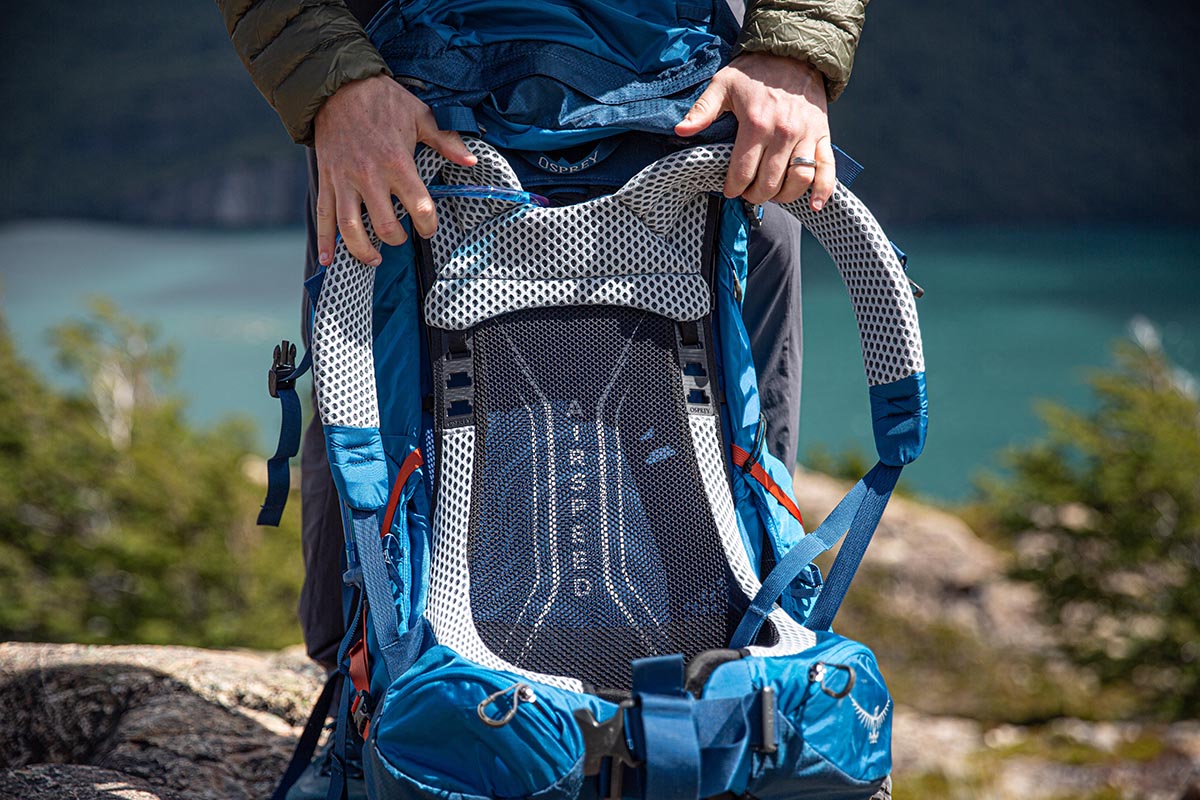 Osprey Atmos AG LT 65 backpack (backpanel detail)