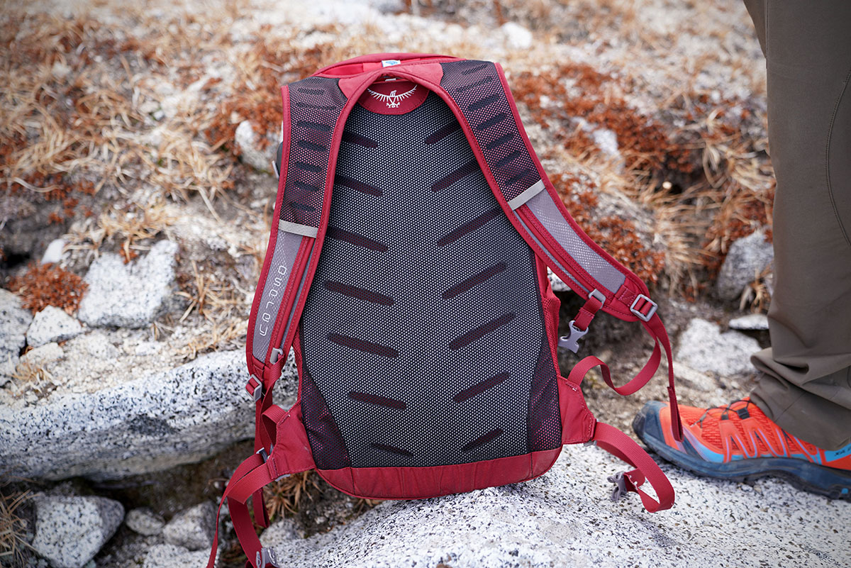 Osprey Daylite Plus daypack (back padding)