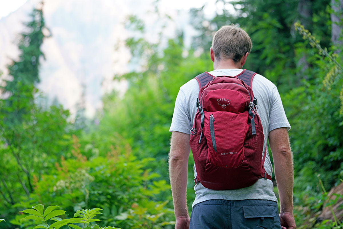 Osprey Daylite Plus pack (closeup)