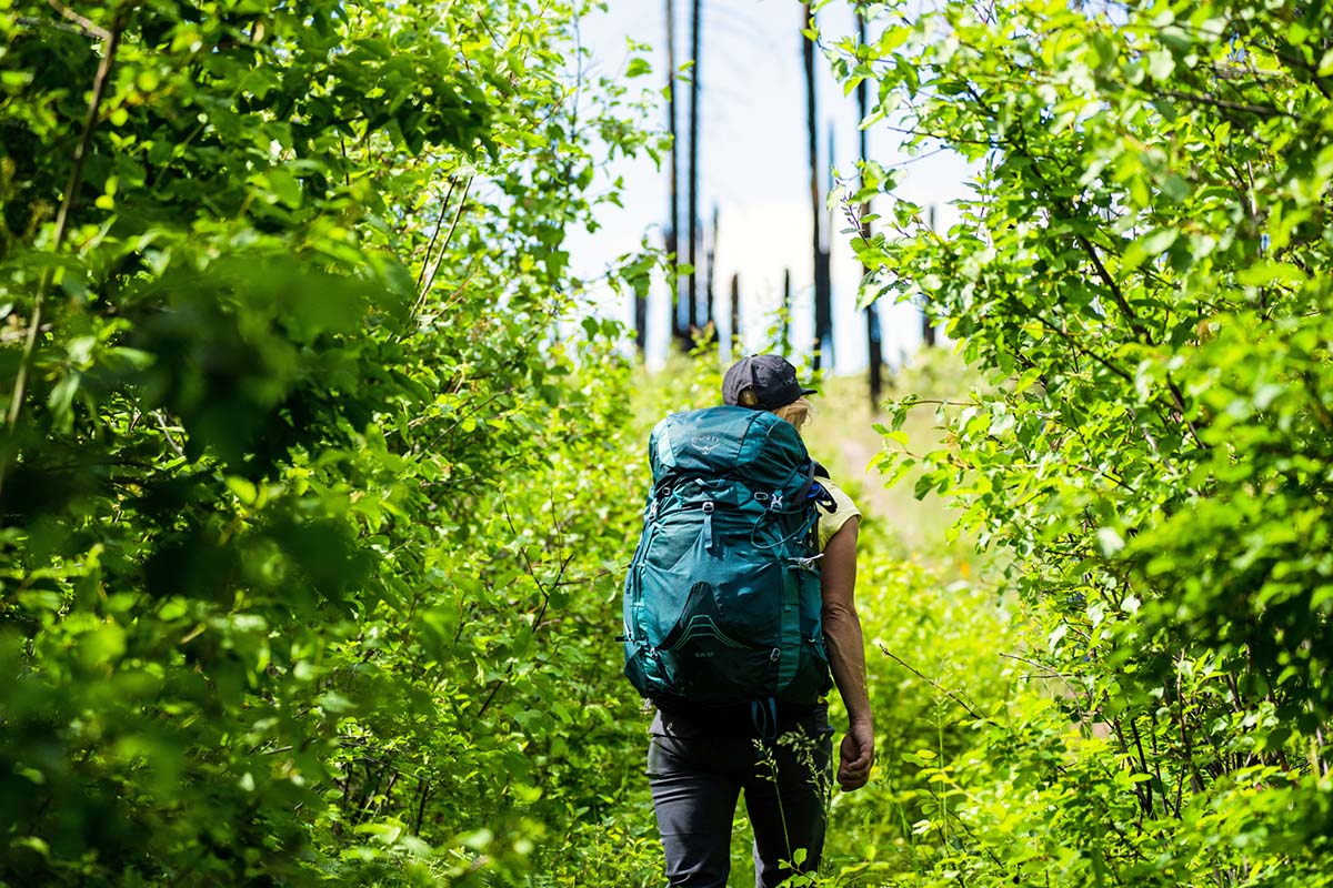 Walking through green forest (Osprey Eja 58 backpack)
