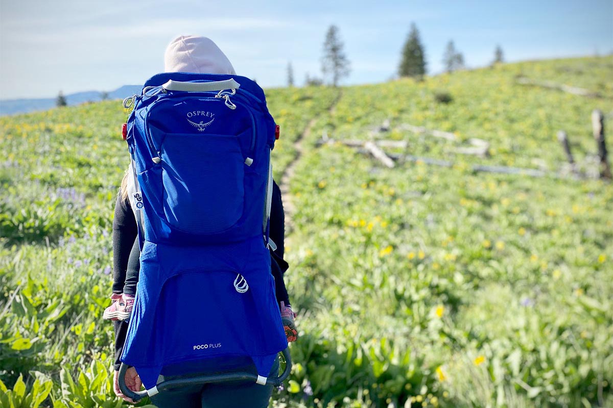 Osprey Poco Plus baby carrier pack (hiking into flower field)