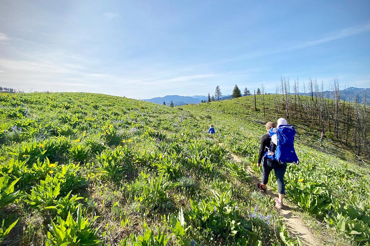 Osprey Poco Plus baby carrier pack (hiking through rolling hills)