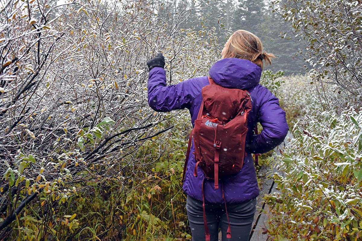 Hiking in the Patagonia DAS Light Hoody synthetic insulated jacket (frosty forest)