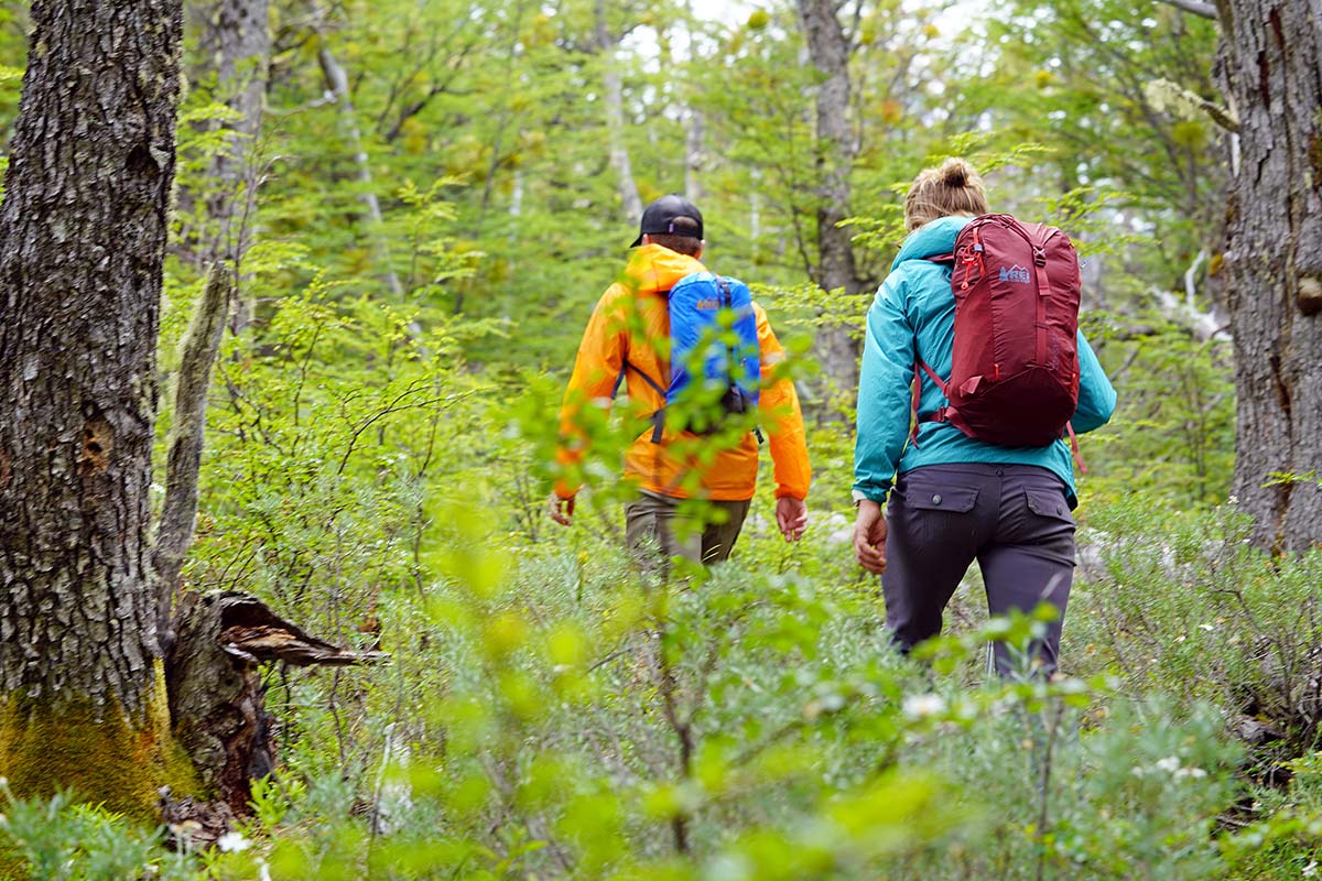 Patagonia Houdini windbreaker jacket (hiking in forest).jpg