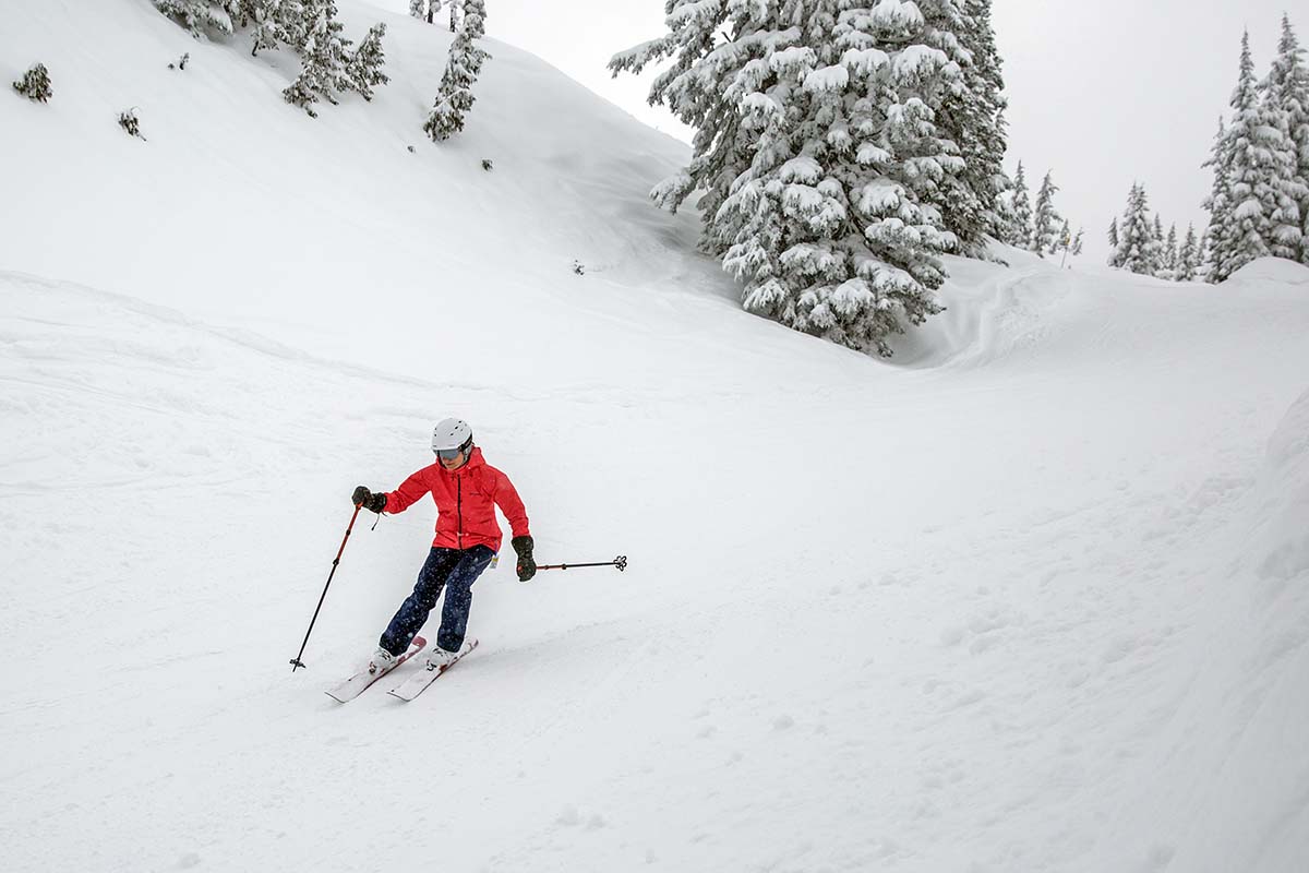 Patagonia Insulated Powder Bowl Pant (skiing)