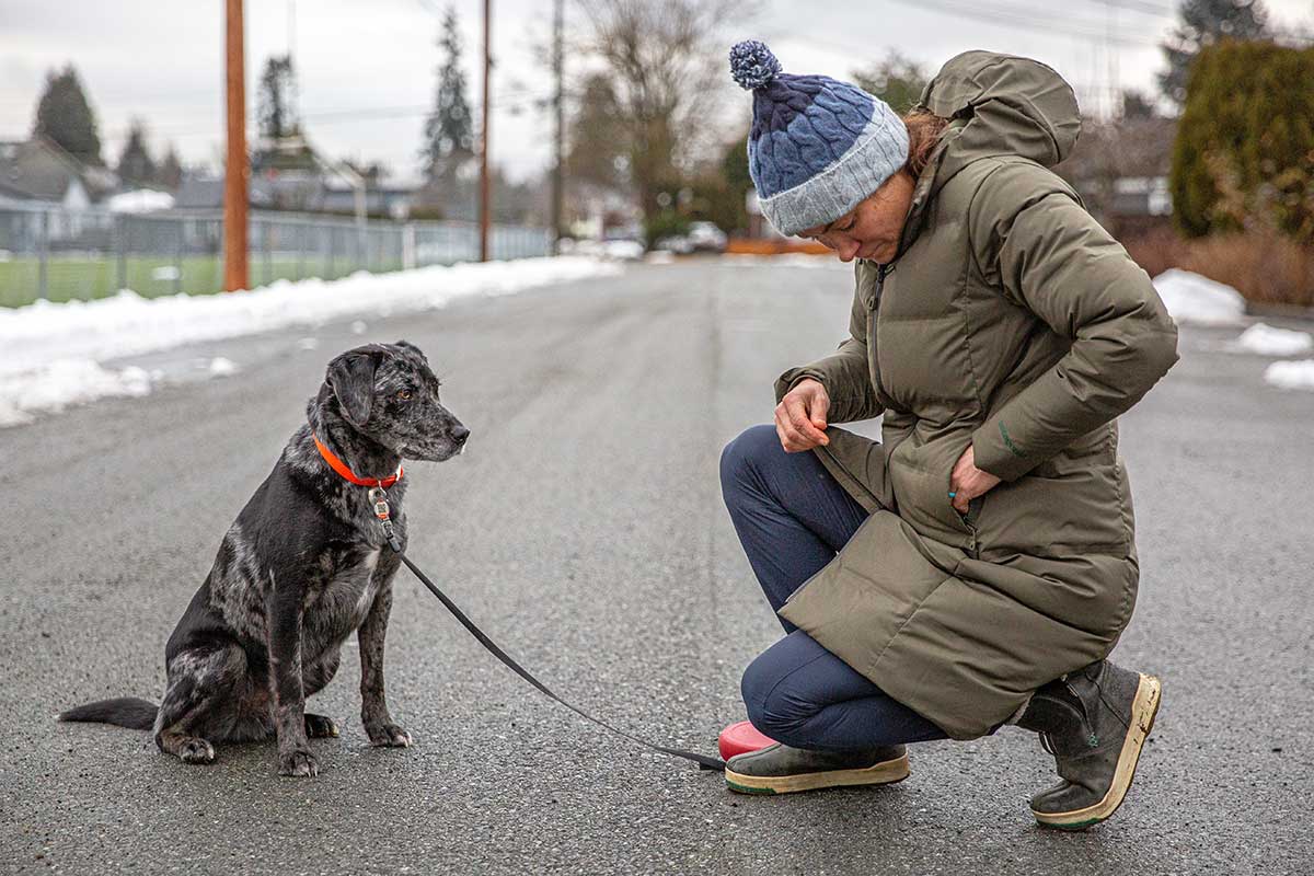 Patagonia Jackson Glacier Parka (fitting dog treats in the pocket)