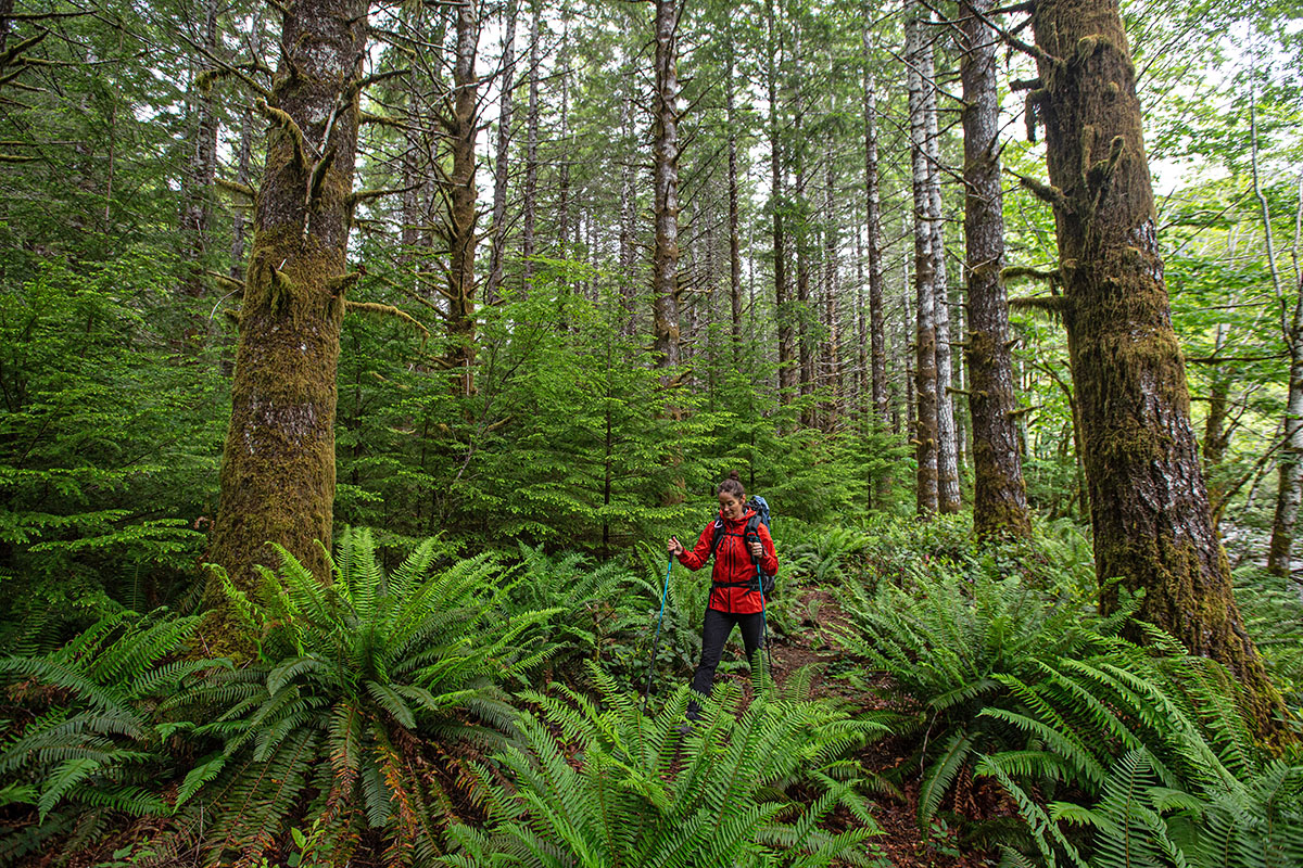 Patagonia M10 Storm Jacket (backpacking in rainforest)