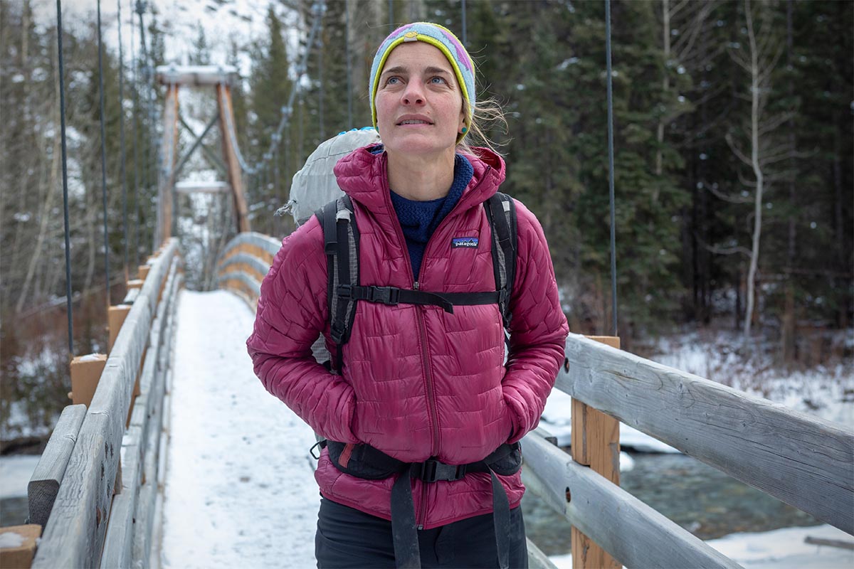 patagonia micro hoodie
