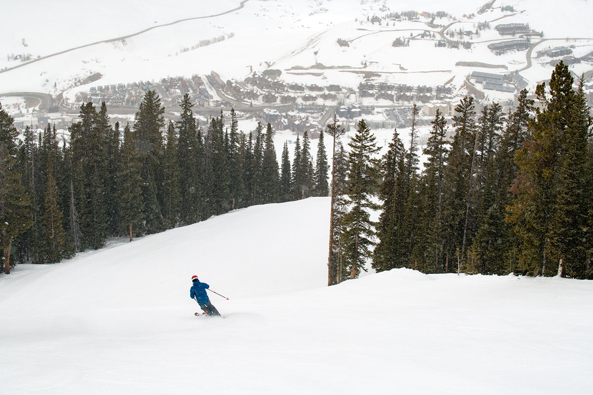 Patagonia Powder Bowl ski jacket (wide view)