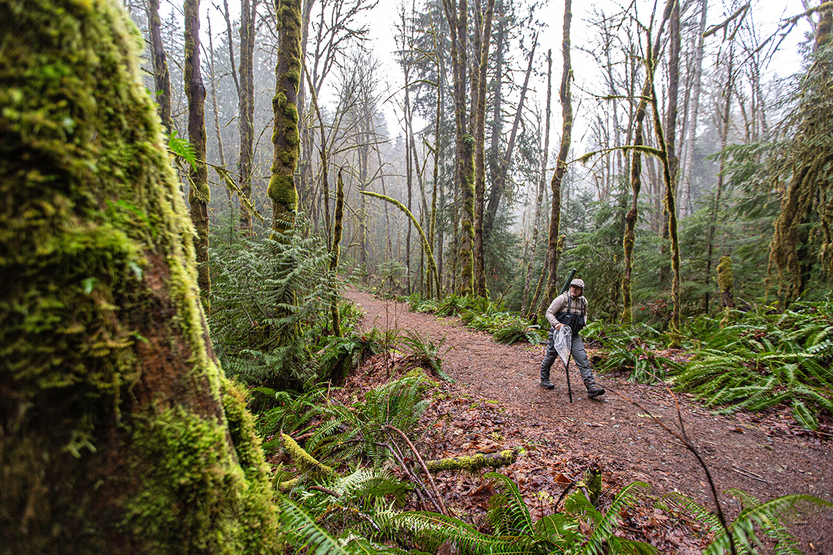 Patagonia R1 TechFace Hoody (walking through wet forest)