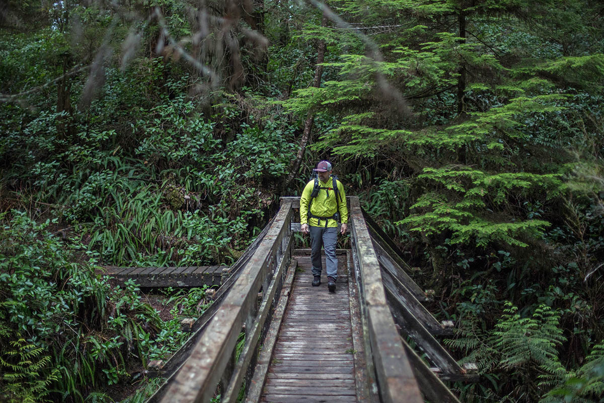 Patagonia Storm10 Alpine Jacket (walking over bridge in forest)