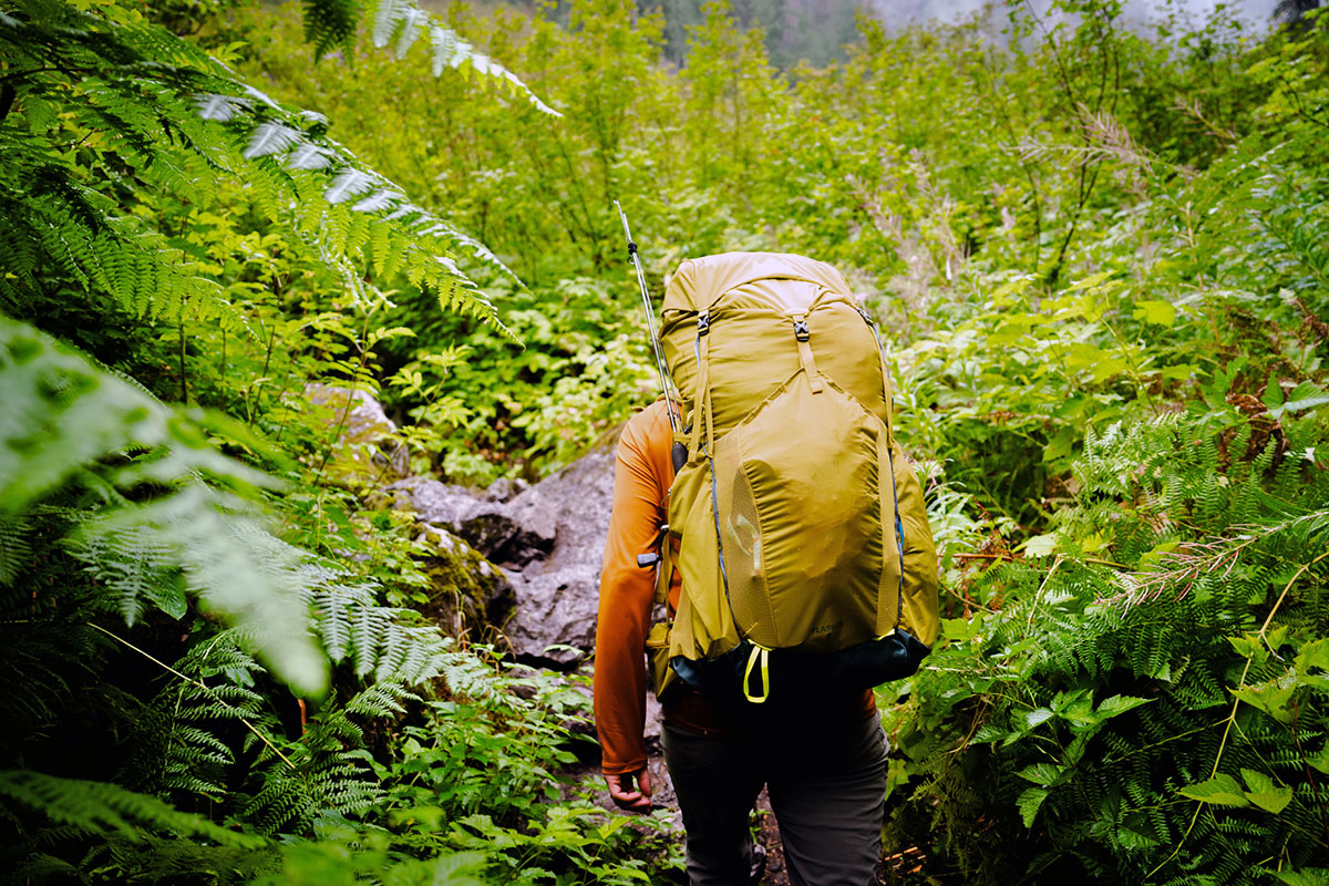 REI Co-op Flash 55 backpack (hiking in dense foliage)