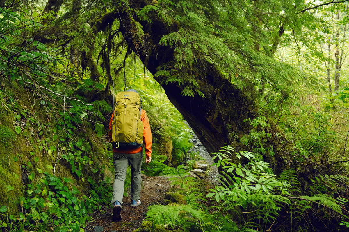 REI Co-op Flash 55 backpack (hiking in wet forest)