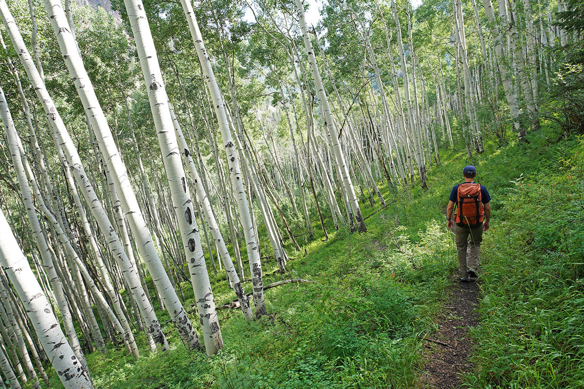 REI Co-op Flash hiking boot (hiking through aspen forest)